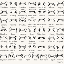 Load image into Gallery viewer, Custom Cat Ears Sweatshirt