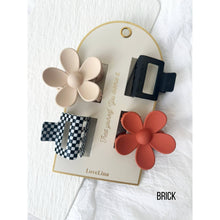 Load image into Gallery viewer, 4 Piece Assorted Hair Clip Set - Brick or Toffee
